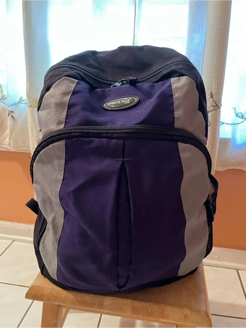 Purple and Gray Backpack